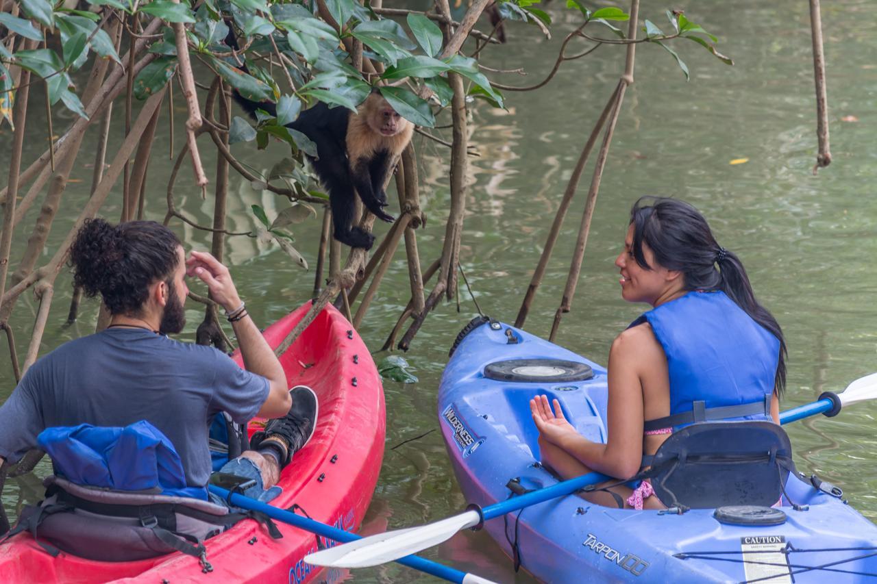 Kayak Lodge Damas Kültér fotó